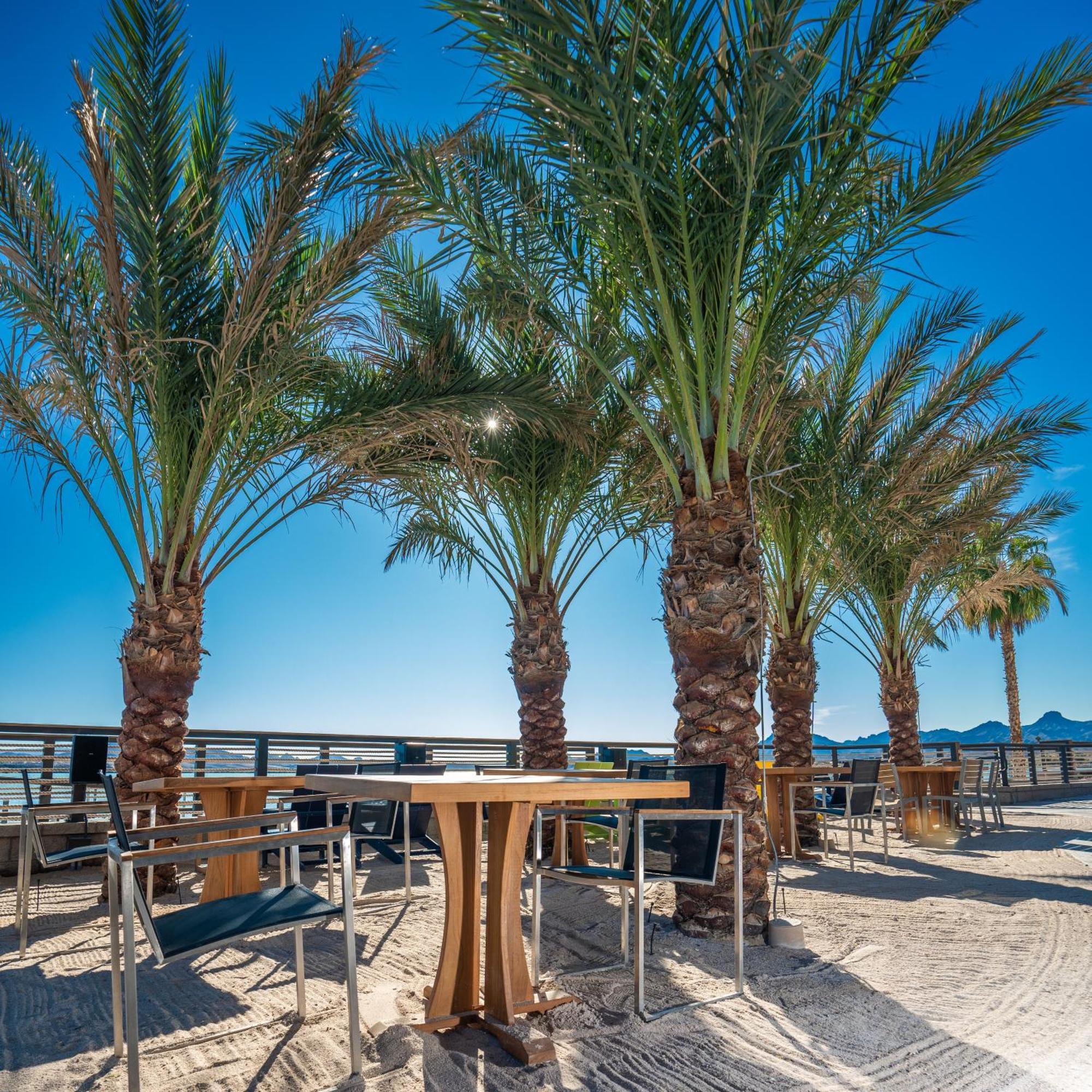 The Nautical Beachfront Resort Лейк Хавасу Сити Екстериор снимка