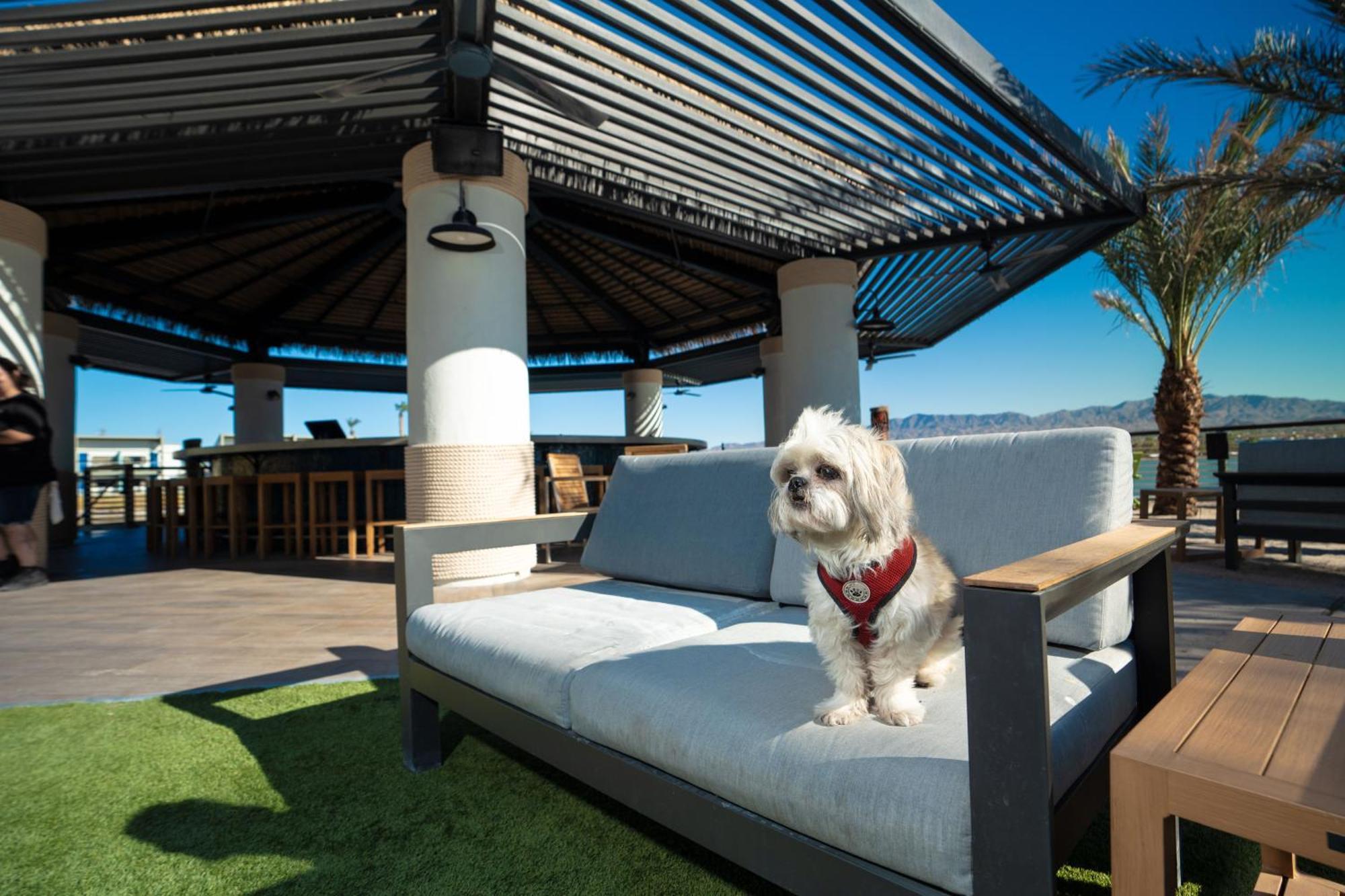 The Nautical Beachfront Resort Лейк Хавасу Сити Екстериор снимка